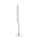 Ornement sur socle 36x10x48 cm FEUILLE or + marbre blanc