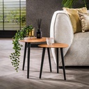Lot de 2 tables gigognes en métal noir avec pieds en bois noyer