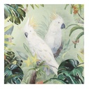 ROSARIO - Toile perroquets 120x120