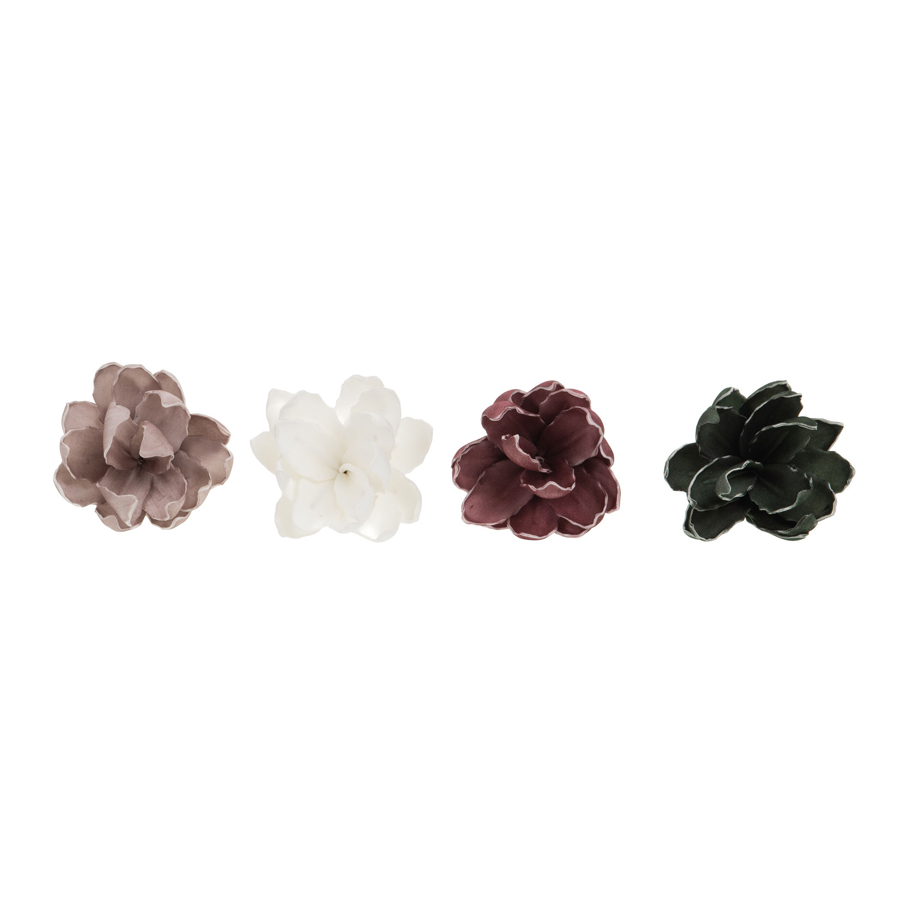 ESSEN - Fleur mini Jardin assorties 4 couleurs aléatoires H17