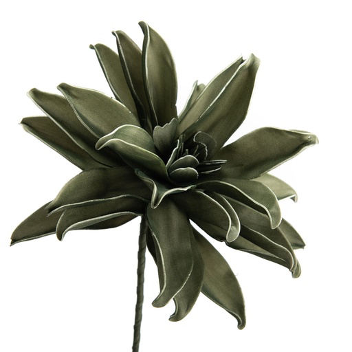 [CAD152727] PANA - Fleur artificielle vert kaki H84