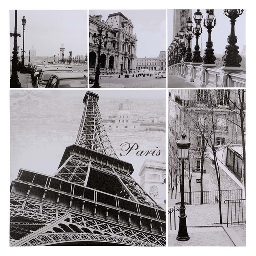 [CN711545] Enssemble 5 toiles photos PARIS PETIT MODELÉ