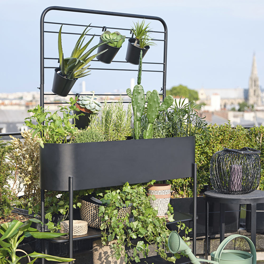 Jardinière Auckland avec plantes vertes et pots noirs sur une terrasse - Dakar, Sénégal.