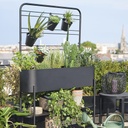 Jardinière Auckland avec plantes vertes et pots noirs sur une terrasse - Dakar, Sénégal.