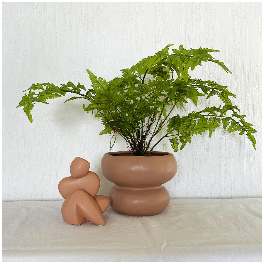 Coupe Organic en céramique terracotta contenant une plante verte, mise en scène dans un intérieur naturel et raffiné - Dakar, Sénégal