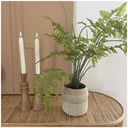 FLAMBEAUX - 2 bougies LED cire naturelle ivoire D2,4 H25cm (à piles)