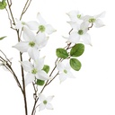 Tige fleur artificielle cornouiller crème