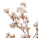 Tige fleur artificielle flower spray blanc