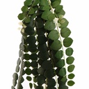 Tige fleur artificielle hoya carnosa bush vert