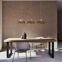 Table à manger Malouine en chêne massif et métal noir 10 personnes L220