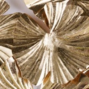 Déco murale Thais nénuphars en métal doré 125x68