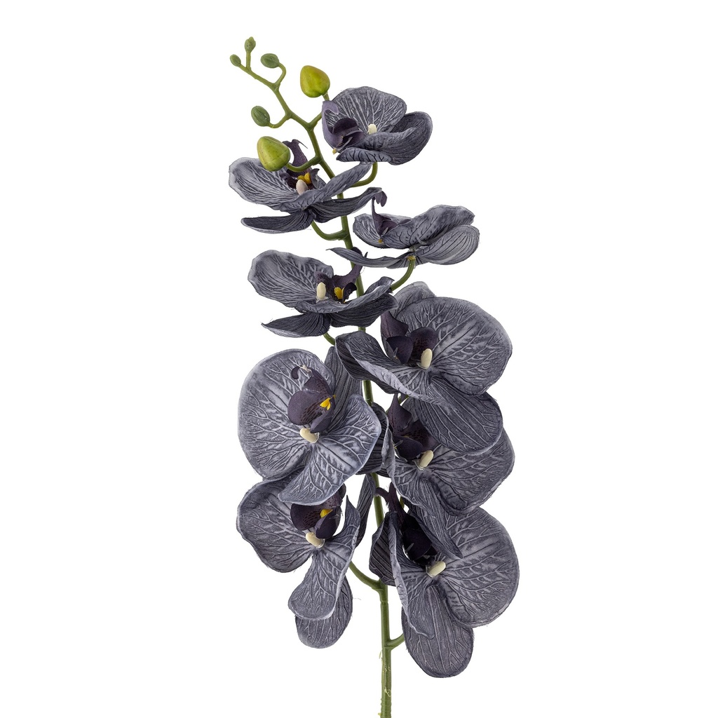 Tige d'orchidée, violette, fleurs artificielles