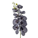 Tige d'orchidée, violette, fleurs artificielles