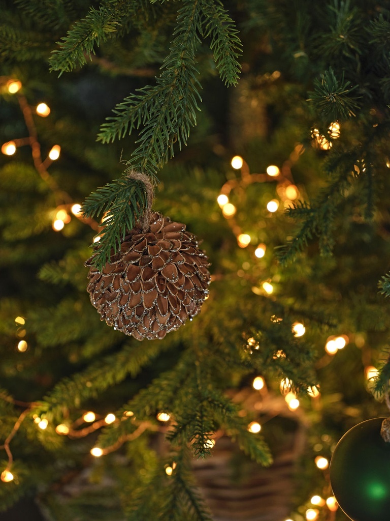 Lot de 6 Boule de Noël pomme de pin séchée marron et argentée
