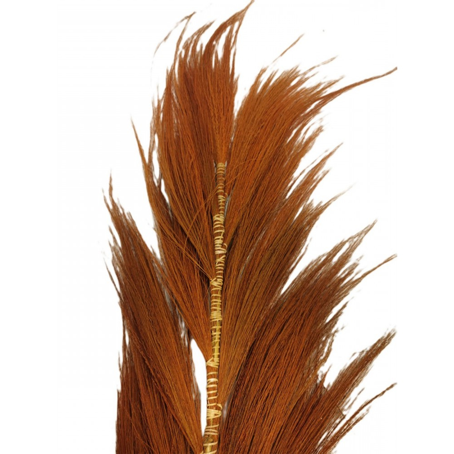 Plume décorative sur tige de bambou fleur de rayung rouille 20x8x200 cm