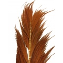 Plume décorative sur tige de bambou fleur de rayung rouille 20x8x200 cm