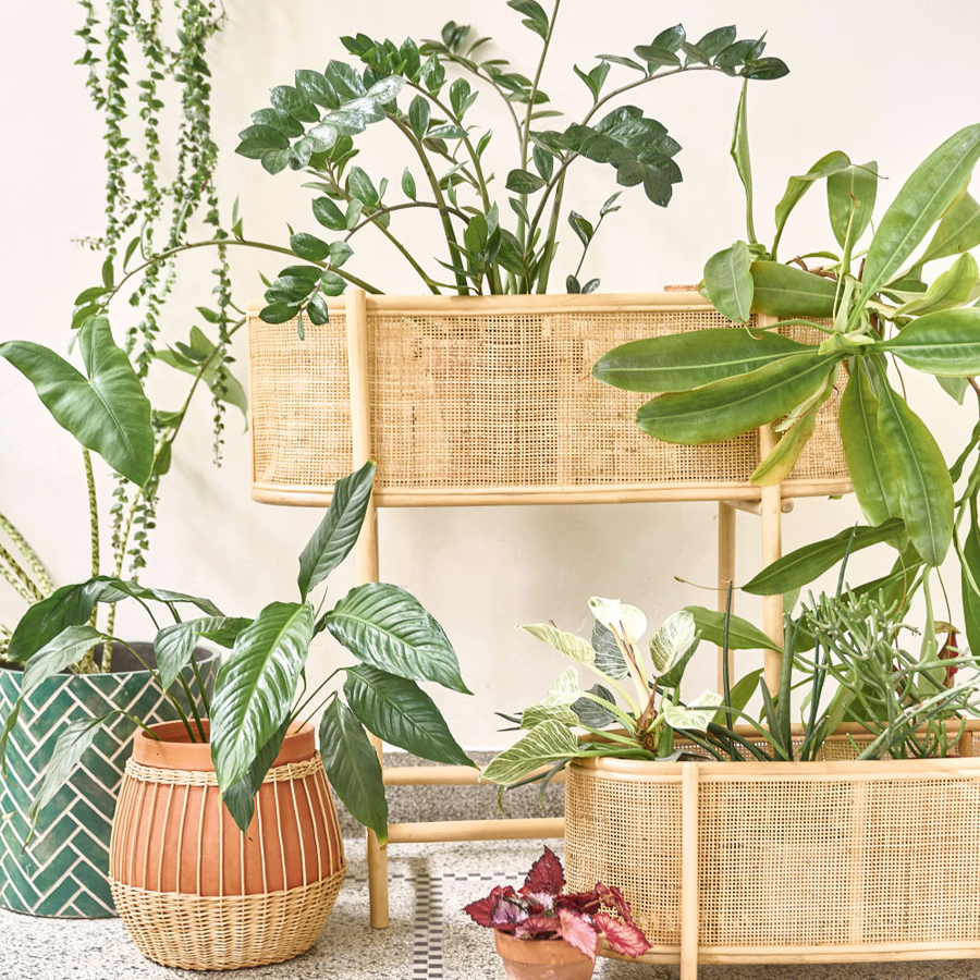 Cache-pot en ciment vert et motifs blancs H36