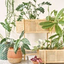 Cache-pot en ciment vert et motifs blancs H36