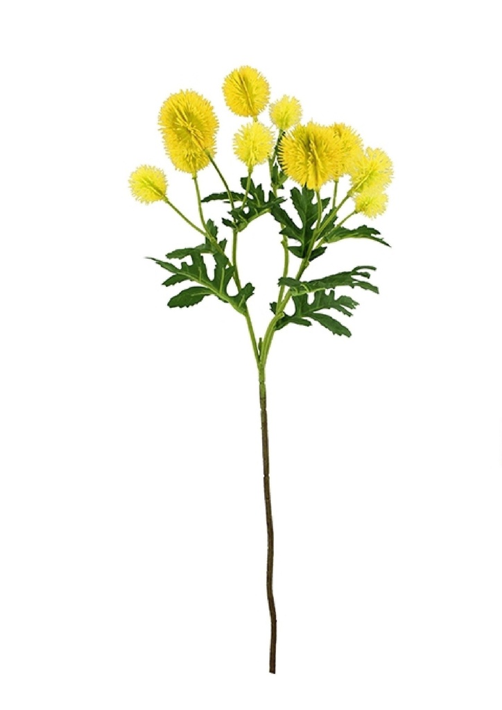 Fleur de Chardon jaune