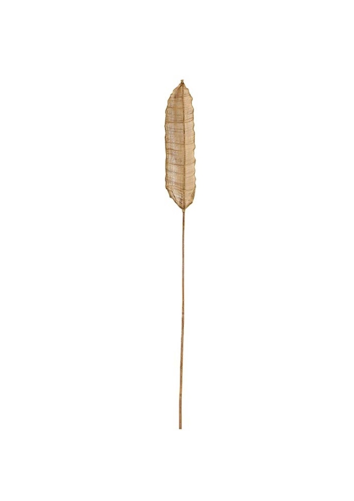Feuille de bananier décorative bambou et feuille de palmier