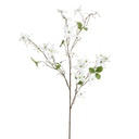 Tige fleur artificielle cornouiller crème