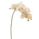 Tige fleur artificielle cymbidium crème
