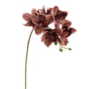 Tige fleur artificielle cymbidium bordeaux