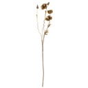 Tige de pavot, marron, fleurs artificielles