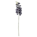 Tige d'orchidée, violette, fleurs artificielles
