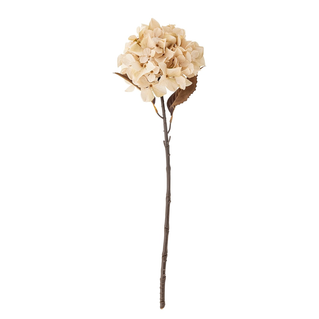 Tige d'hortensia, Nature, Fleurs artificielles