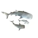 Déco murales Moana requins baleines bleu clair 