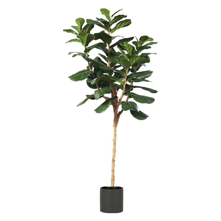 LYRATA - Ficus artificiel et pot noir H200 cm