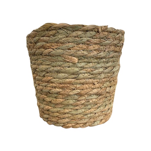 [CN119142C] SAKA - Cache pot RAVINALA