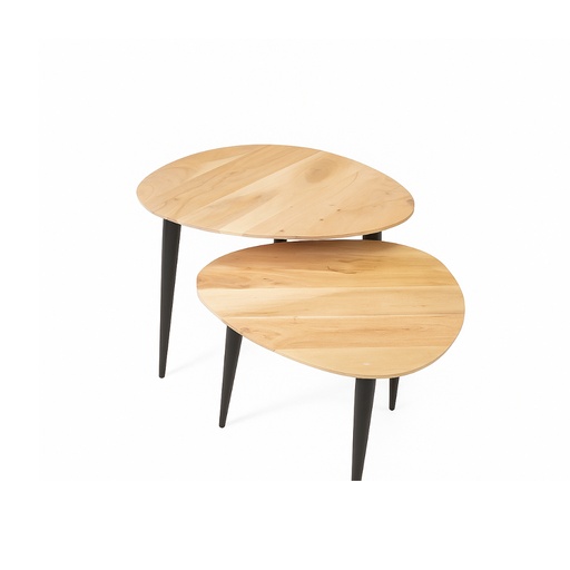 [LXIWOS500] Lot de 2 tables gigognes en métal noir avec pieds en bois clair