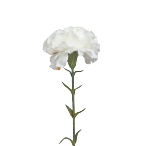 [COUGJ006] Fleur Œillet blanc