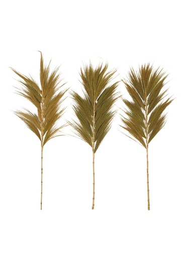 [COUKT033] Plumeau décoratif en fleur de rayung coloris naturel (unité)