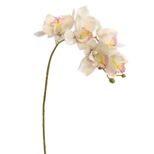 [PUR40150015CR] Tige fleur artificielle cymbidium crème