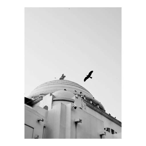 [CARCATHEDRALE42X30] Tableau noir et blanc la cathédrale sans cadre 42x30