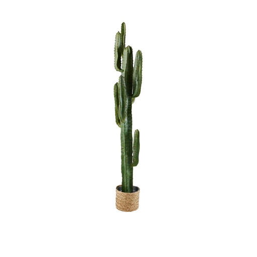 [CN617691] Cactus artificiel d'extérieur en COLORADO
