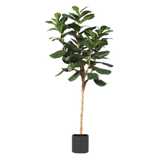 [CN220452] Ficus artificiel Lyrata vert avec pot noir